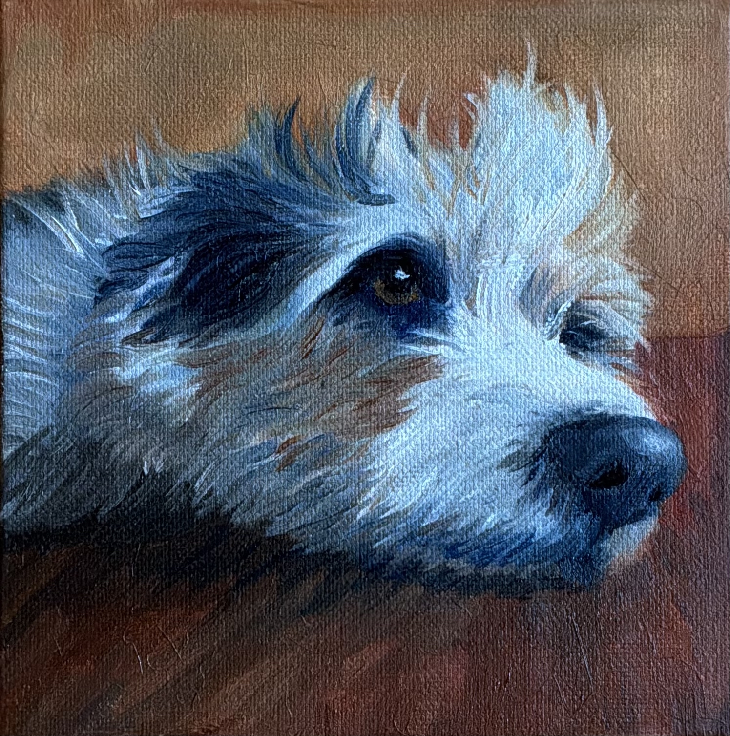 Tula — oil portrait